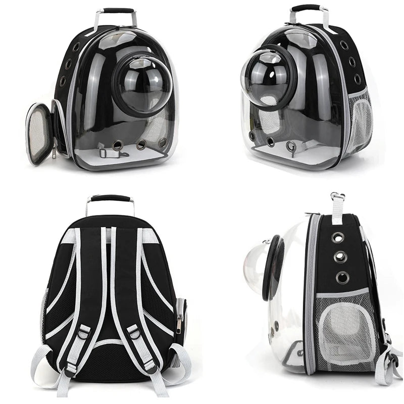 Backpack for cats