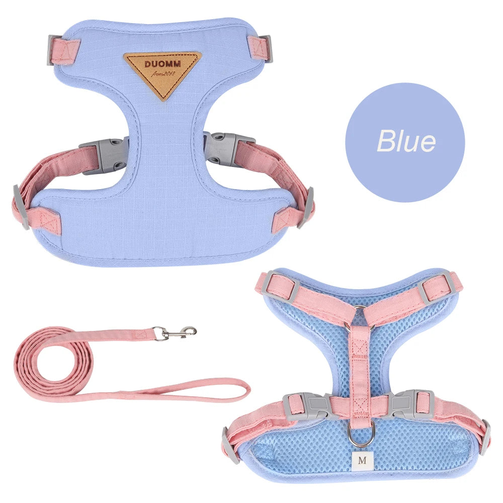 Blue harness for cats