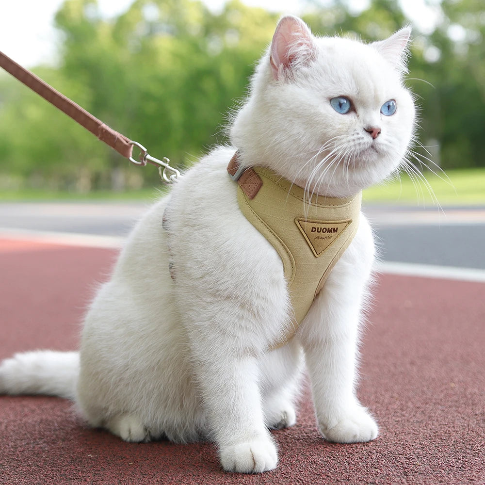 Cat harness