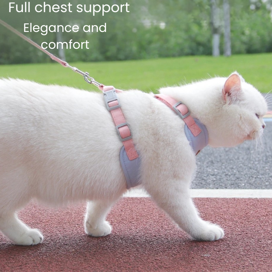 Harness for cats
