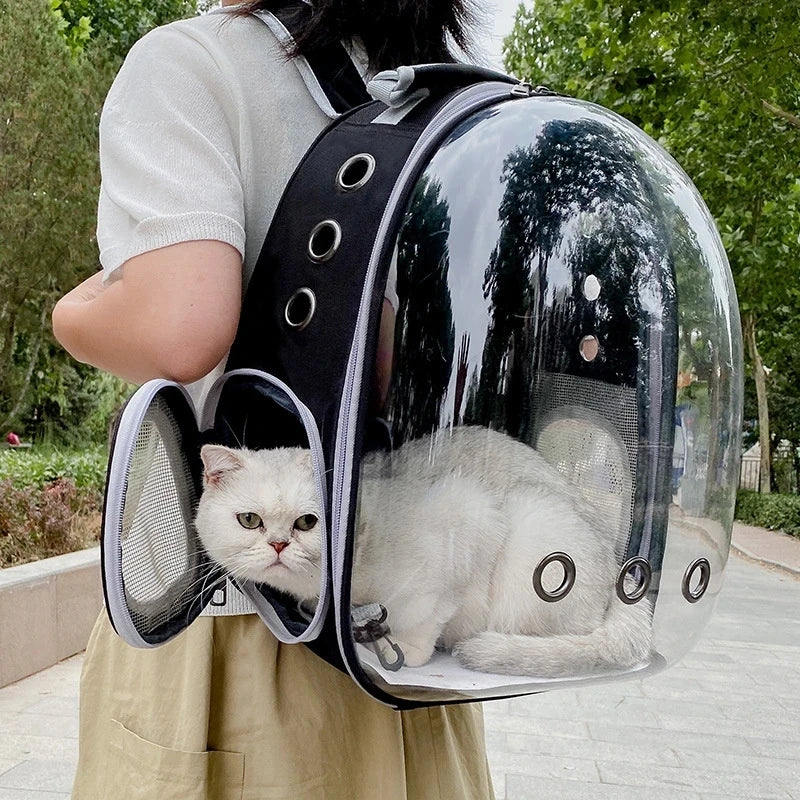 Panoramic backpack for pets
