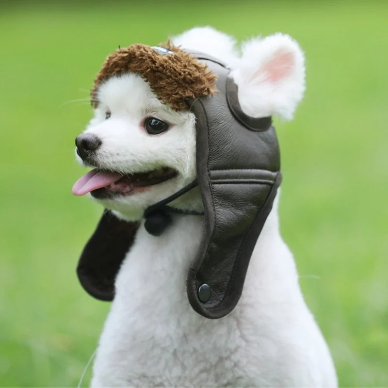 Pet aviator hat