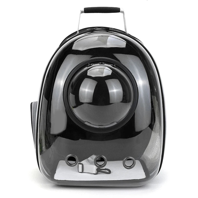 Panoramic backpack