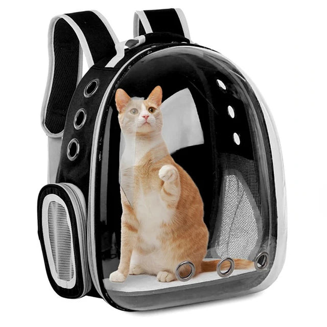 Backpack for pets
