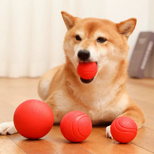 Bite resistant ball 