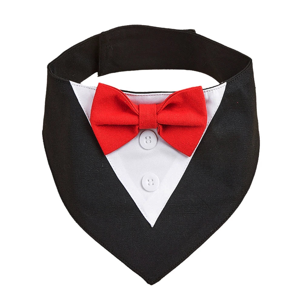 Black and red bow tie for dogs