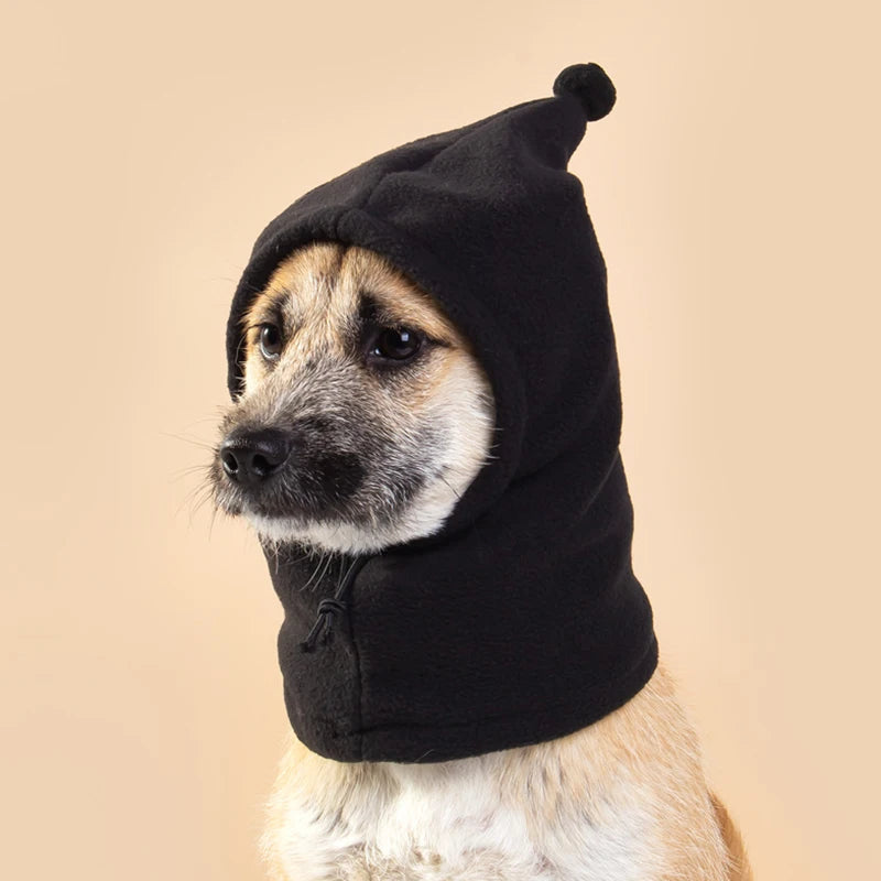 Beanie for dog