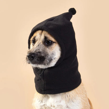 Beanie for dog