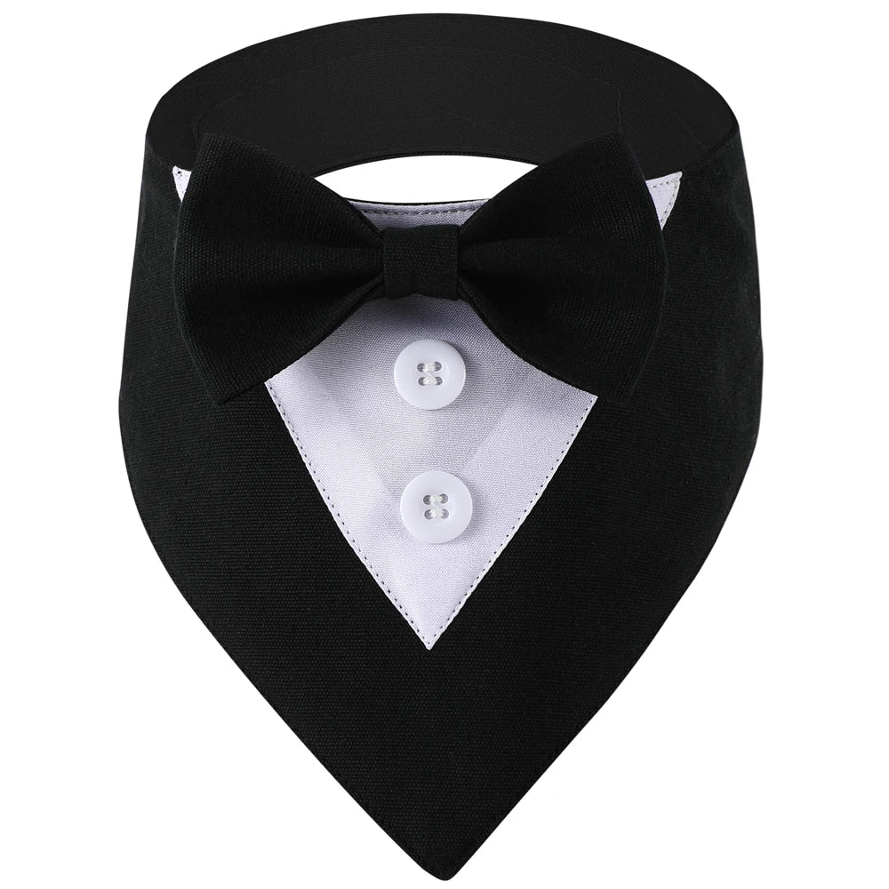 Black bow tie for pets