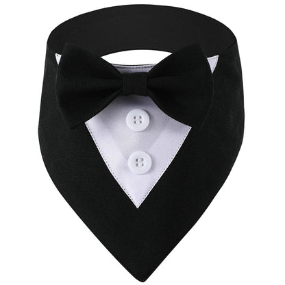 Black bow tie for pets