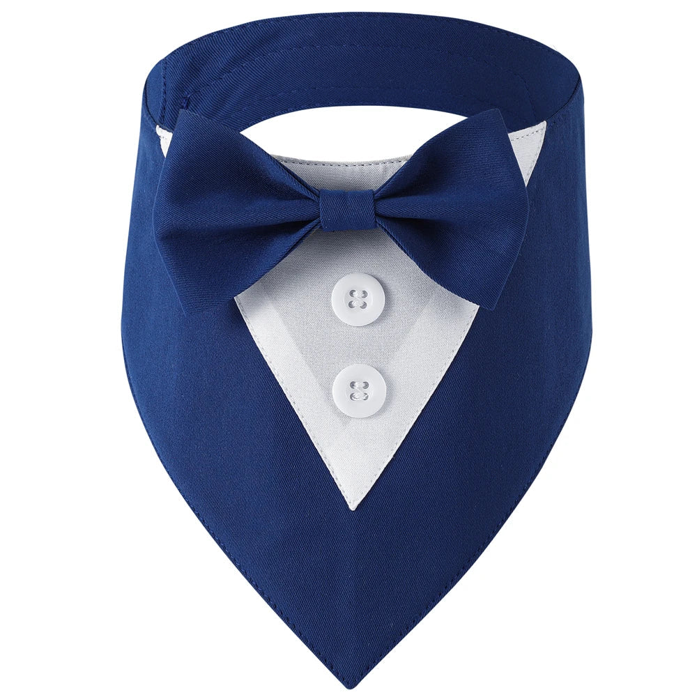 Blue bow tie for pets