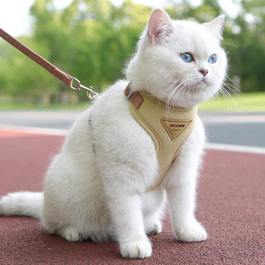 Cat harness