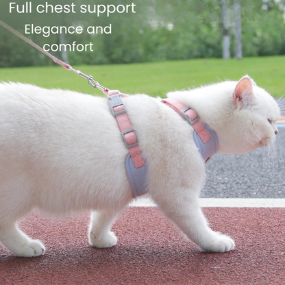 Harness for cats