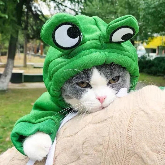 Frog hoodie for cats