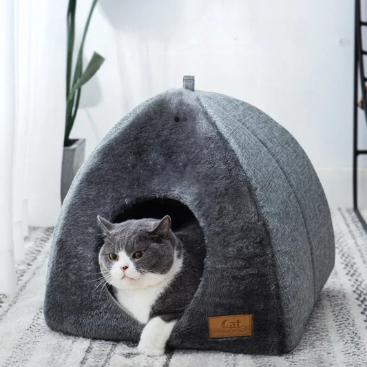 Fun cat bed 