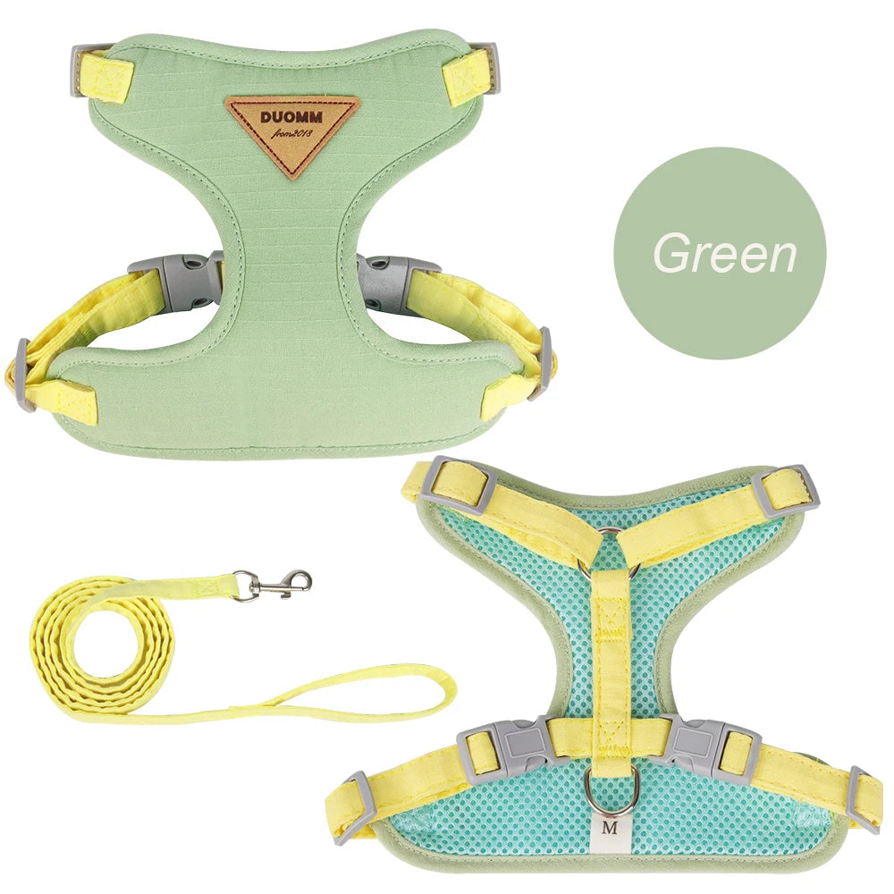 Green harness for cats