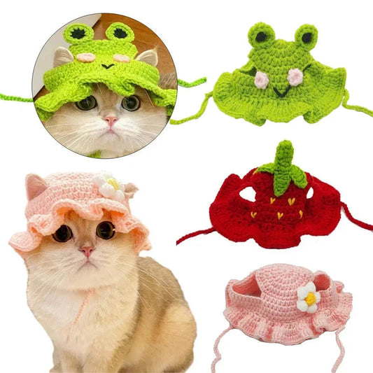 Cute cat hat 