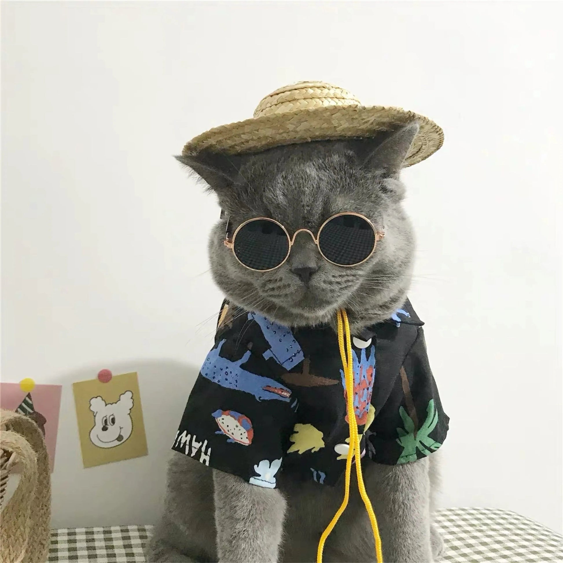 Sunglasses for animals
