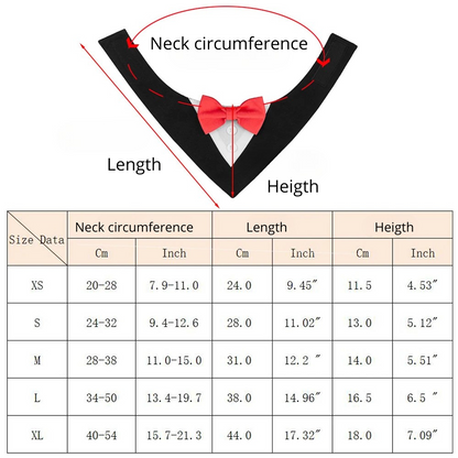 Pet bow tie Pawsome-style.com