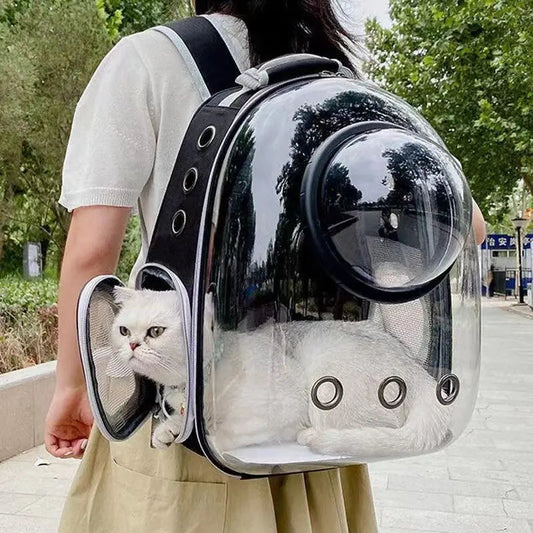 Panoramic cat backpack 