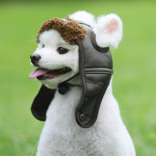 Pet aviator hat 