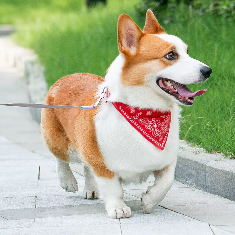 Pet bandana 