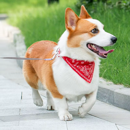 Pet bandana 