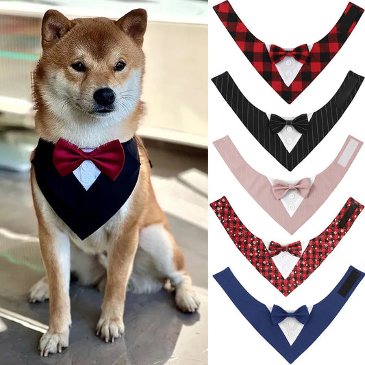 Pet bow tie