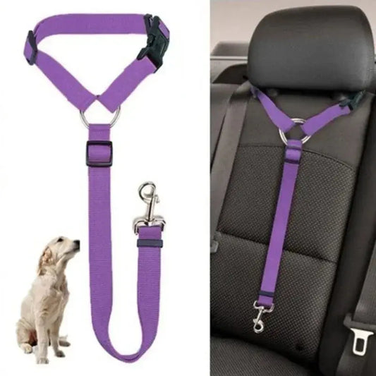 Pet seatbelt 