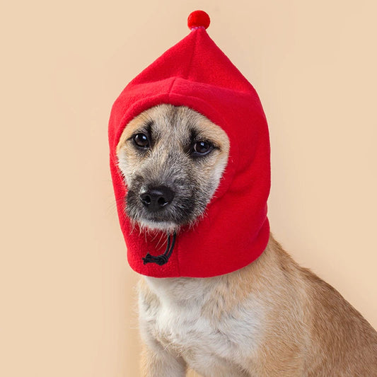 Pet warm beanie
