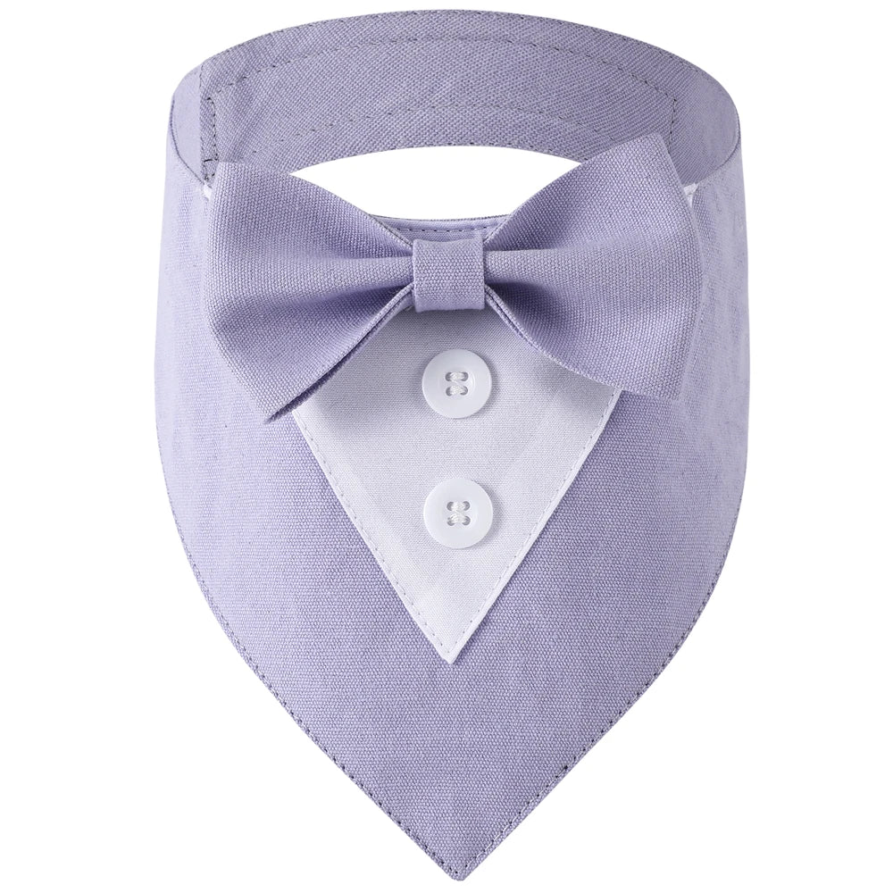 Purple bow tie for pets