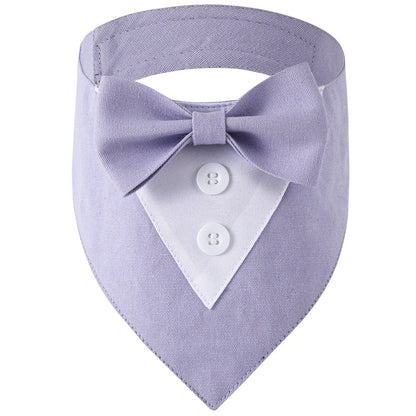 Purple bow tie for pets