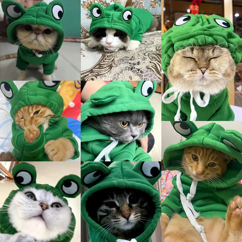 Frog hoodie Pawsome-style.com
