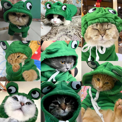 Frog hoodie Pawsome-style.com