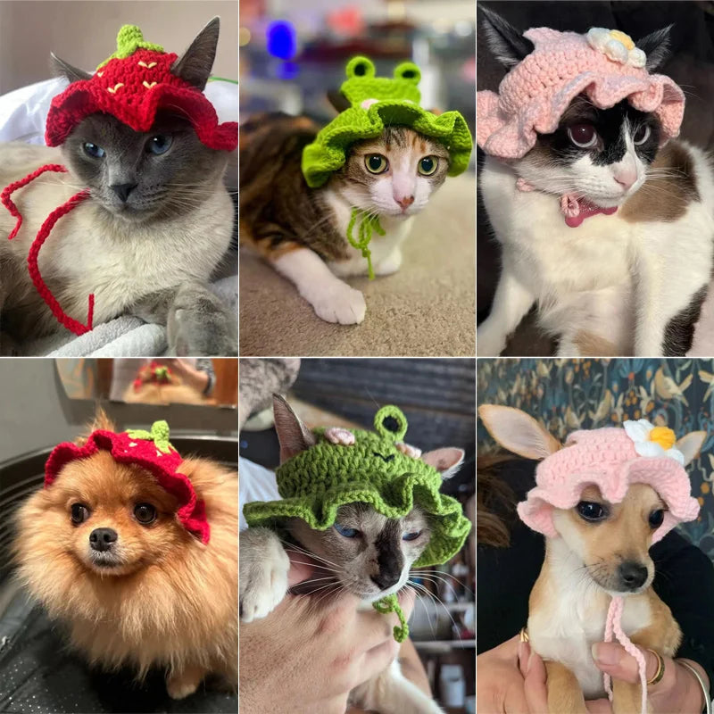Cute cat hat Pawsome-style.com