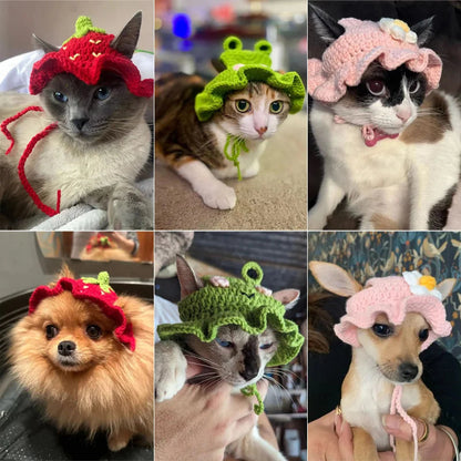 Cute cat hat Pawsome-style.com