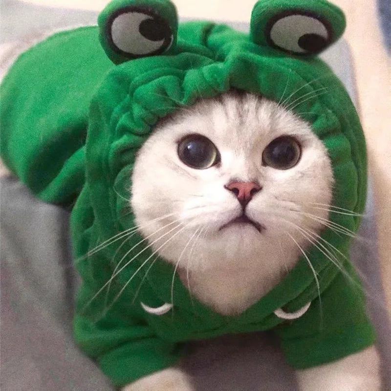 Frog hoodie Pawsome-style.com