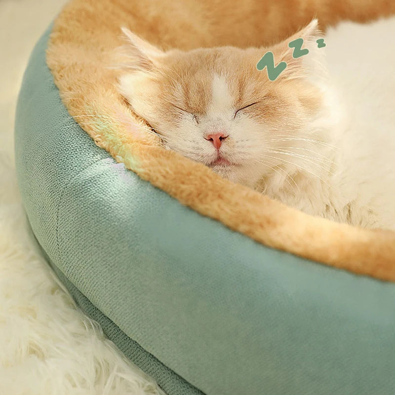 Comfy pet bed 