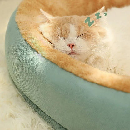 Comfy pet bed 