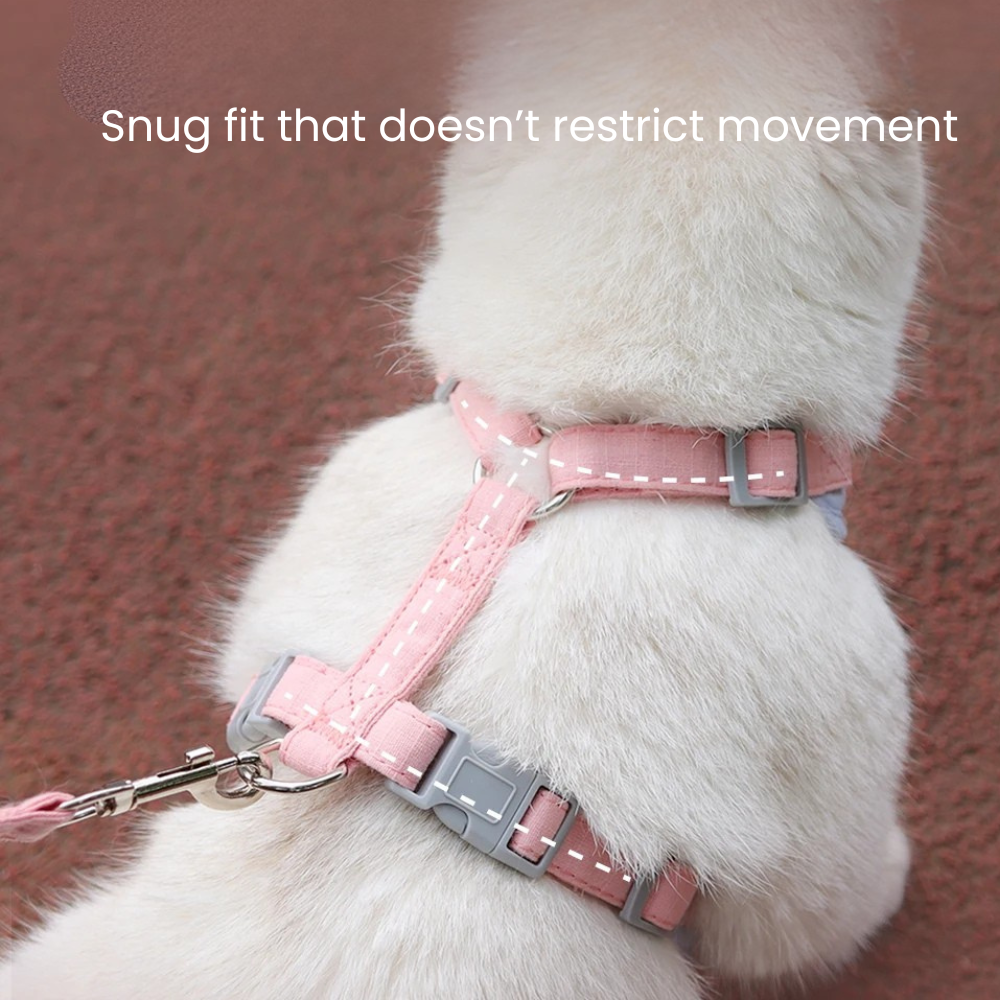 Harness for pets