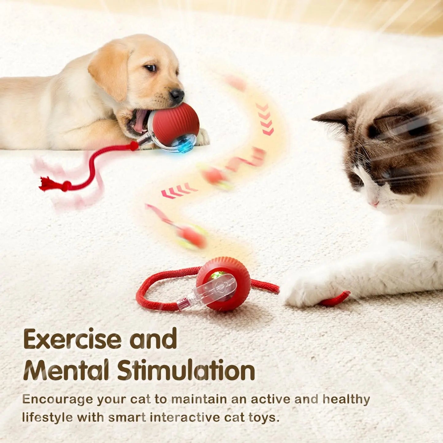Interactive toy for pets