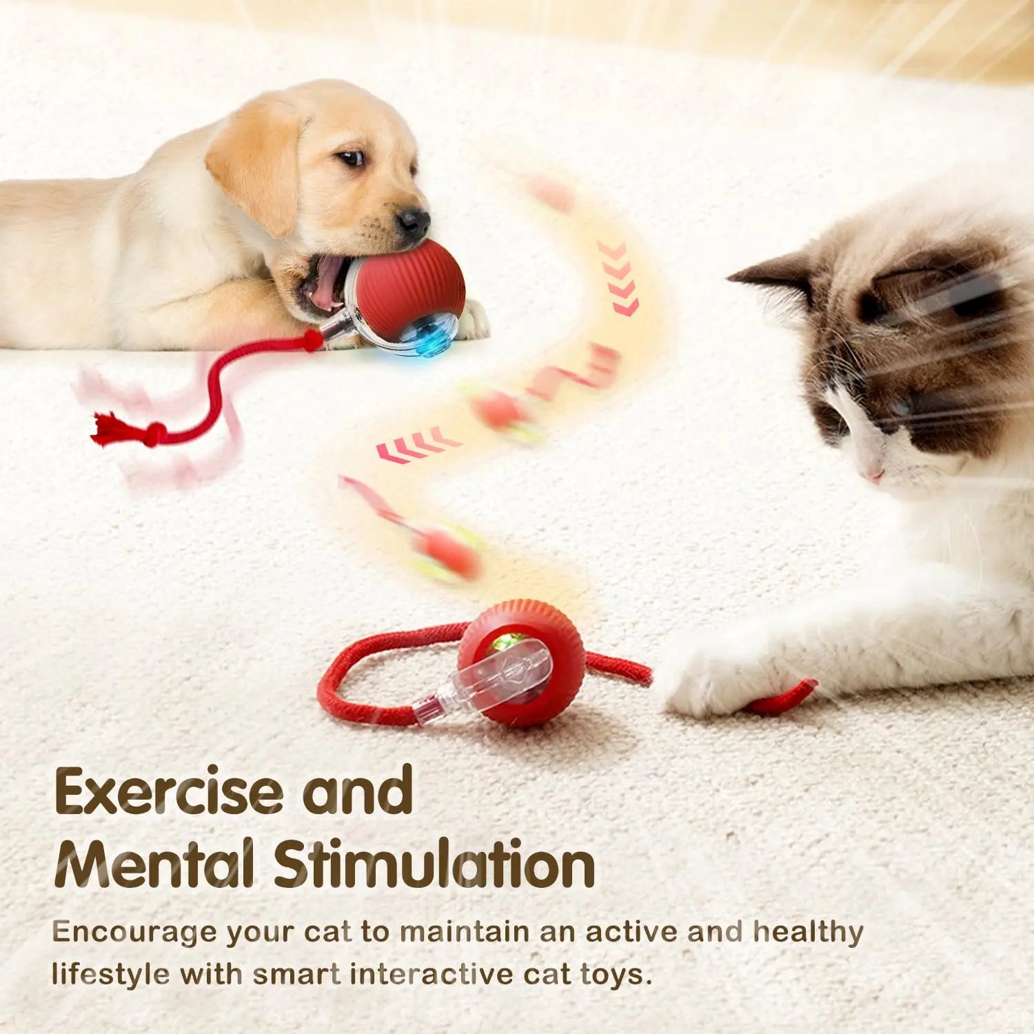 Interactive toy for pets