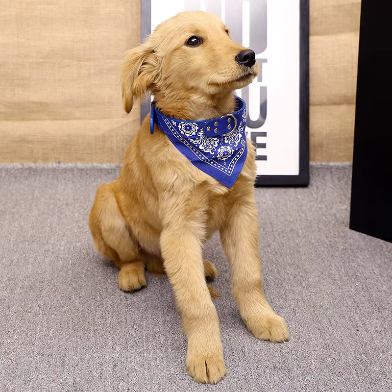 Dog bandana