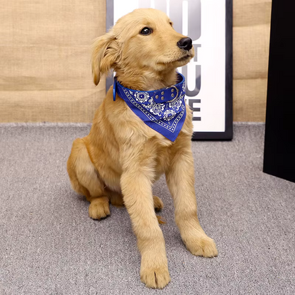 Dog bandana